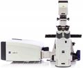 LSM 880 Confocal Microscope Picture