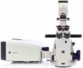 LSM 800 confocal microscope photo