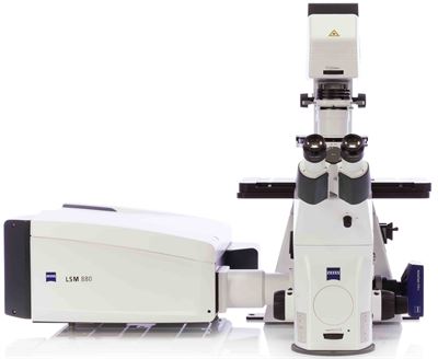 hitech instruments inc lsm 800 confocal microscope confocal microscope