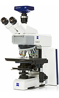Upright Microscopes