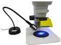 Nightsea stereo fluorescence adapter image