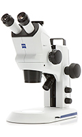 Stereo Microscopes