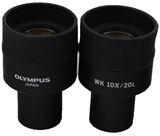 Olympus WK 10x/20 Eyepiece Image